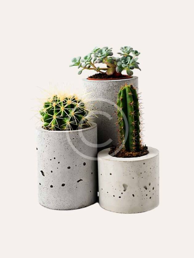 Plant pots set